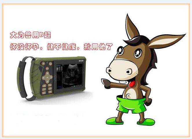 兽用B超机,兽用b超,兽用孕检B超,毛驴妊娠的直肠检查法