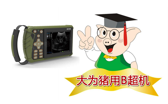 便携式猪用B超,便携猪用B超,便携猪用B超机,猪用b超机