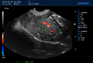S90动物宠物B超仪检测图