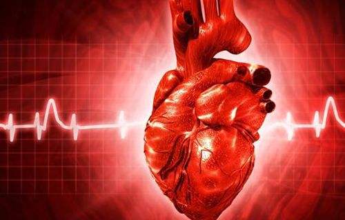 心脏彩超机、心脏超声设备应用原理