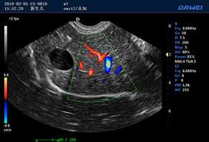 S90多普勒兽用彩超