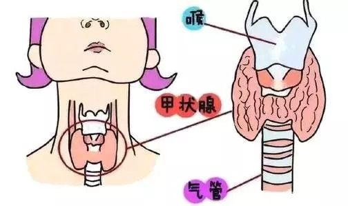 甲状腺B超机超声报告常见的六大问题